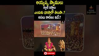 అయ్యప్ప స్వాములు నల్లటి వస్త్రాలు ఎందుకు ధరిస్తారో తెలుసా  Ayyappa deeksha  shabarimala  MSS [upl. by Endaira]