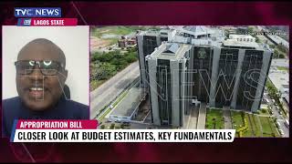 Understanding Details Of Nigerias 2024 Budget Proposal [upl. by Ciprian]