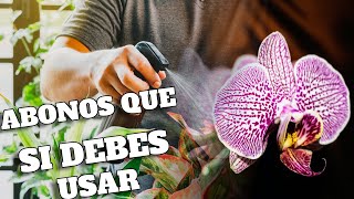 ✅5 ABONOS Caseros que SI DEBES USAR en Orquideas 👉✅🌱🌷 [upl. by Lietman]