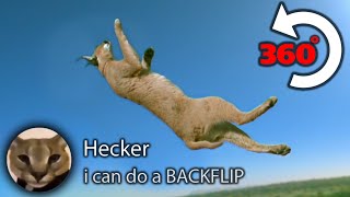 When Hecker Does the Impossible [upl. by Anek]