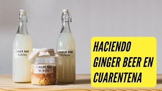 🍺 APRENDE Cómo hacer GINGER BEER ► CERVEZA DE JENGIBRE en CUARENTENA [upl. by Yelsiap866]