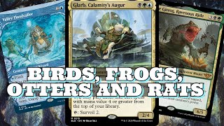 MY FAVORITE BLOOMBURROW COMMANDER  Glarb Calamity’s augur Deck Tech [upl. by Pennebaker412]