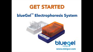 Getting Started with the blueGel™ Electrophoresis and Visualization System from miniPCR bio™ [upl. by Winn6]