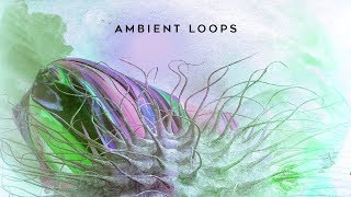 Ambient Loops by AK [upl. by Ardnuasac]