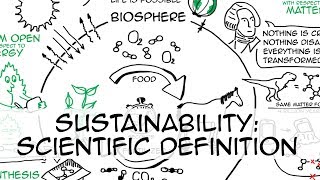 Sustainability simple definition whiteboard animation [upl. by Mosra]