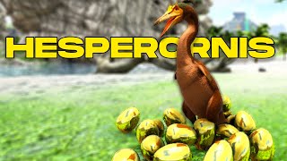 COMO TAMEAR HESPERORNIS y TODAS SUS HABILIDADES PC PS y XBOX  ARK [upl. by Gracye]