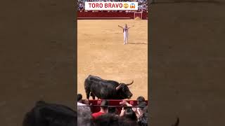 Spanish Bull Fighting🔥🔥💯💯 [upl. by Bringhurst]