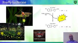 Analysis of transcriptional regulation and proteinprotein interaction [upl. by Ynamrej]