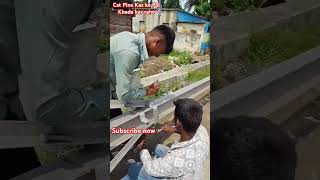 cat Pine Kas ke Pol Khada kar rahe hain shorts video [upl. by Fiora392]