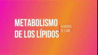 METABOLISMO DE LÍPIDOS En menos de 5 minutos [upl. by Aiek]