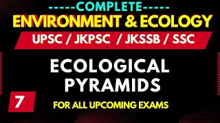 Environment and Ecology UPSC CSEJKPSC KAS PSCJKSSBForesterSSCpatwariNEET Ecological pyramids [upl. by Delahk]