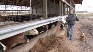 Emily Ferwerda  2013 Michigan Farm Bureau Young Farm Employee Award Winner [upl. by Alyss]