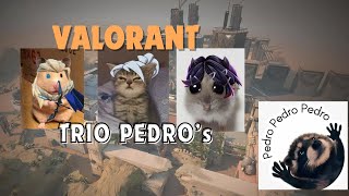 Trio Pedros in Valorant  Part 1 [upl. by Oswal]