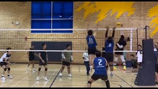 Random Game 2  TSVL One Day Tournament Toronto Spartan Volleyball League [upl. by Novoj]