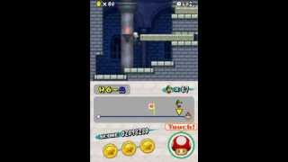 New Super Mario Bros DS 100 Part 16 [upl. by Sidell]