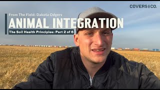 From The Field Soil Health Principles 2 Animal Integration [upl. by Acyssej]