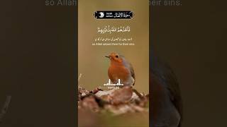 Quran Recitation I Beautiful recitation  qari basit I beautiful voice quran shorts [upl. by Eclud650]