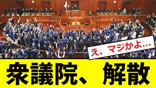 【緊急】石破首相、「衆議院解散」を断行！！ [upl. by Alset583]