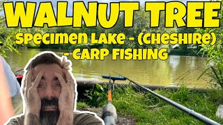 Walnut Tree Farm Specimen Lake  Cheshire  CARP FISHING [upl. by Edgard]