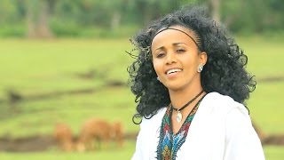 Tsehay Alem  Raya  New Ethiopian Music 2016 Official Video [upl. by Colley]