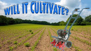 The Cheapest Cultivator You Can Buy  Legend Force Cultivator Gas Tiller Review [upl. by Gally758]