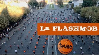 Lourdes 2018  Flashmob des jeunes du Var [upl. by Alihs]