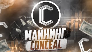 Майнинг Conceal CCX [upl. by Ohs]