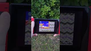 What can a Modded Nintendo Switch do [upl. by Theresa]