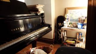 Raggy Rag  Floyd Willis Ragtime Piano [upl. by Htebilil844]