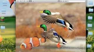 How To Do Basic quotPhotoshopquot On A Mac [upl. by Norabal442]