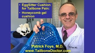 EggSitter Cushion for Tailbone Pain Honeycomb Gel Cushion [upl. by Howes165]