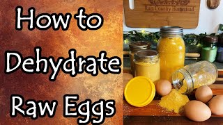 How to Dehydrate Eggs Plus Storage and Usage [upl. by Florian889]