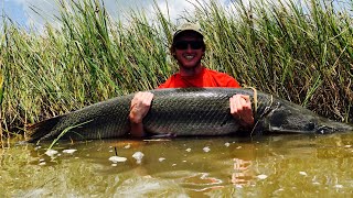 Releasing A Giant Melanistic Alligator Gar Shorts [upl. by Rimola]