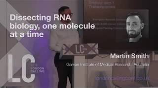 Dissecting RNA biology one molecule at a time  Martin Smith [upl. by Columbyne]