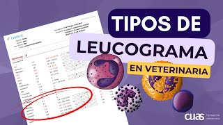 Tipos de Leucograma en la Interpretación de análisis sanguíneo 🩸 en Veterinaria de pequeños animales [upl. by Feinstein]