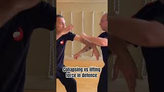 Collapsing vs lifting force martialarts taichi [upl. by Guerin763]