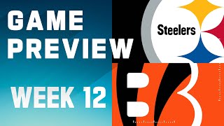 Pittsburgh Steelers vs Cincinnati Bengals  2023 Week 12 Game Preview [upl. by Evanne]