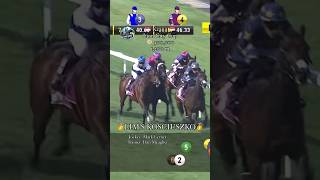 Lims Kosciuszko 🏇🏽 cruises away to third G1 Lion City Cup win🥇😎 [upl. by Ahtilat540]