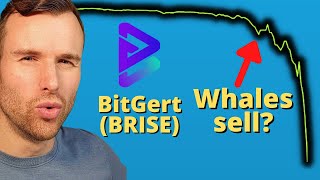 Why Bitgert is up ⚠️ BRISE BitRise Crypto Token Analysis [upl. by Cela]