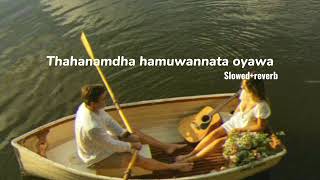 Thahanamdha hamuwannata oyawa තහනම්ද හමුවන්නට ඔයාව  slowed  reverb vibeZ [upl. by Drallim]