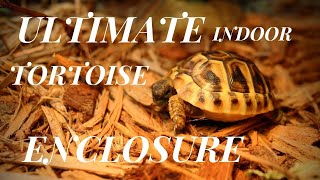 Ultimate Indoor Tortoise Enclosure [upl. by Poul]