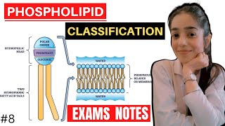 phospholipids biochemistry  glycerophospholipid and sphingomyelin biochemistry [upl. by Mokas]