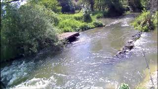 Pêche en Saône [upl. by Fanestil664]