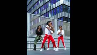 Flavour  Berna feat Fally Ipupa amp Diamond Platnumz  Dance Choreography [upl. by Akcired]