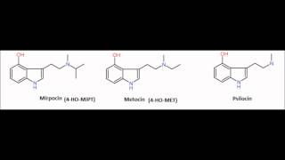 Miprocin 4HOMiPT amp Metocin 4HOMET [upl. by Llertnom]