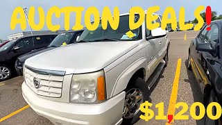 LOOKING FOR CHEAP DEALS AT AUTO AUCTION [upl. by Rodolphe66]