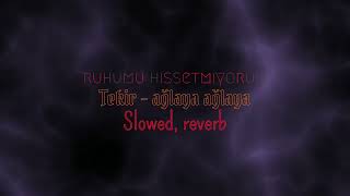 tekir  ağlaya ağlaya slowed reverb chillebesk [upl. by Aicilet]