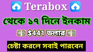 Terabox থেকে ১৭ দিনে ইনকাম 441 ডলার  TeraBox Earning tricks  TeraBox Income Bangla Online income [upl. by Peedus]