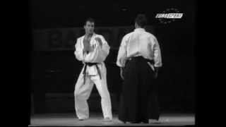 Aikido vs Karate Demonstration [upl. by Nnainot]