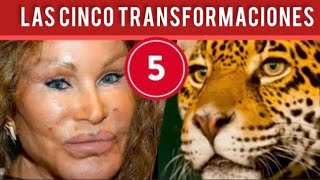 Las 5 Transformaciones Más Sorprendentes de Jocelyn Wildenstein [upl. by Fem]